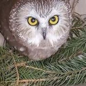 Meet your Posher, Rick